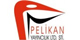 gallery/pelikan